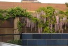 Northgate QLDrooftop-and-balcony-gardens-1.jpg; ?>
